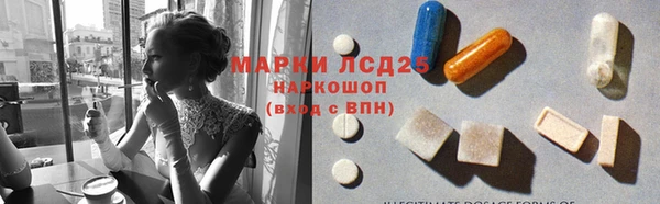 индика Ладушкин