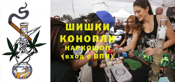 сатива Балахна