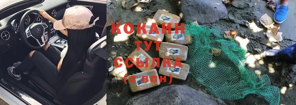 ПСИЛОЦИБИНОВЫЕ ГРИБЫ Баксан
