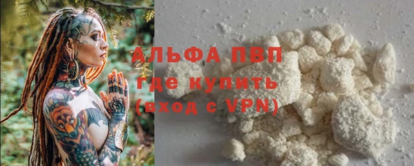 сатива Балахна