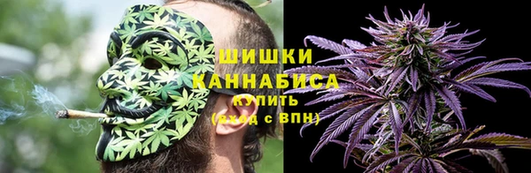 шишки Балабаново
