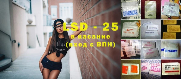 сатива Балахна