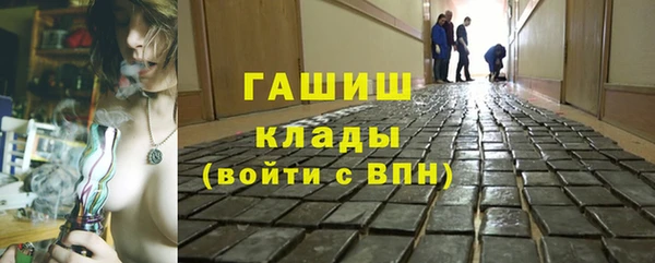 сатива Балахна