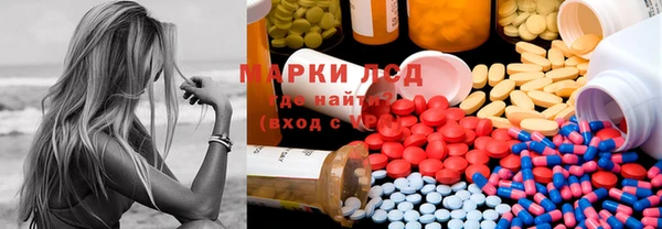 ПСИЛОЦИБИНОВЫЕ ГРИБЫ Баксан