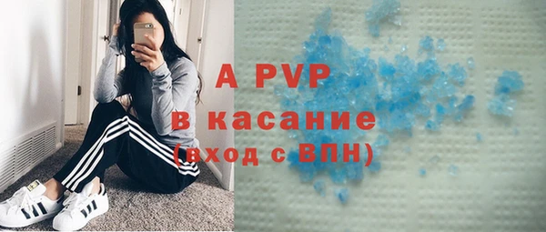 шишки Балабаново