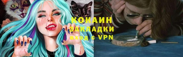 сатива Балахна