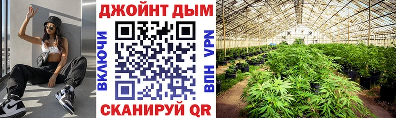 Купить где  Купино  Канабис White Widow 